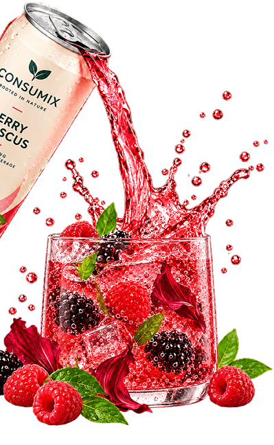 Consumix